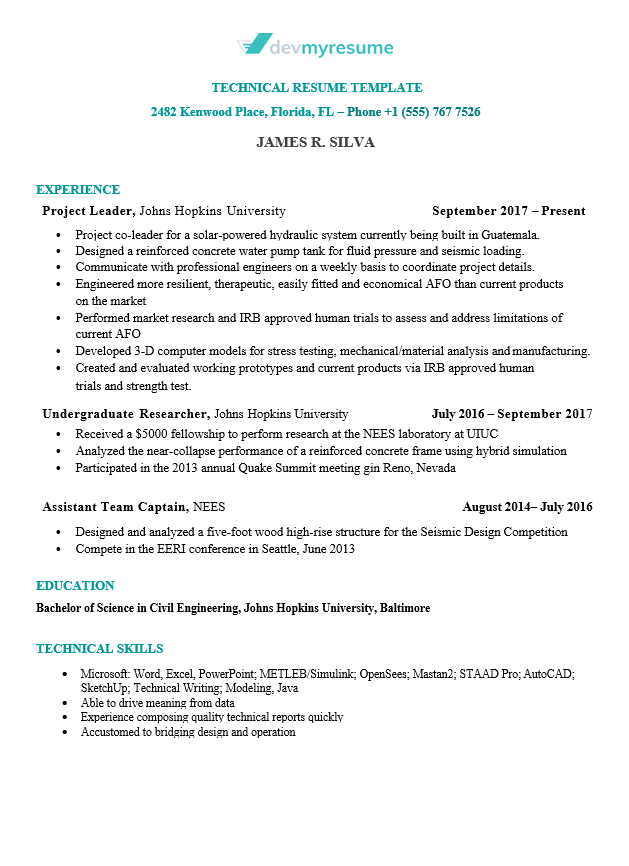 Resume Template Technical