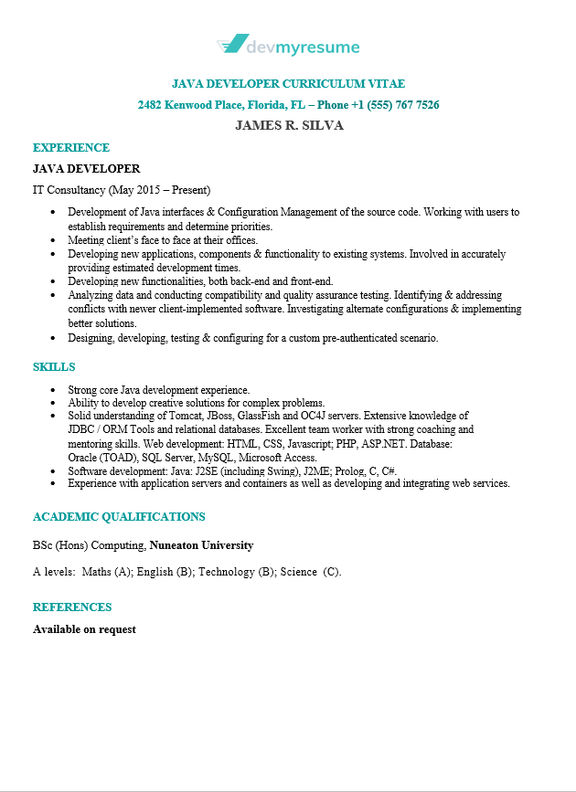 Information Technology IT Resume